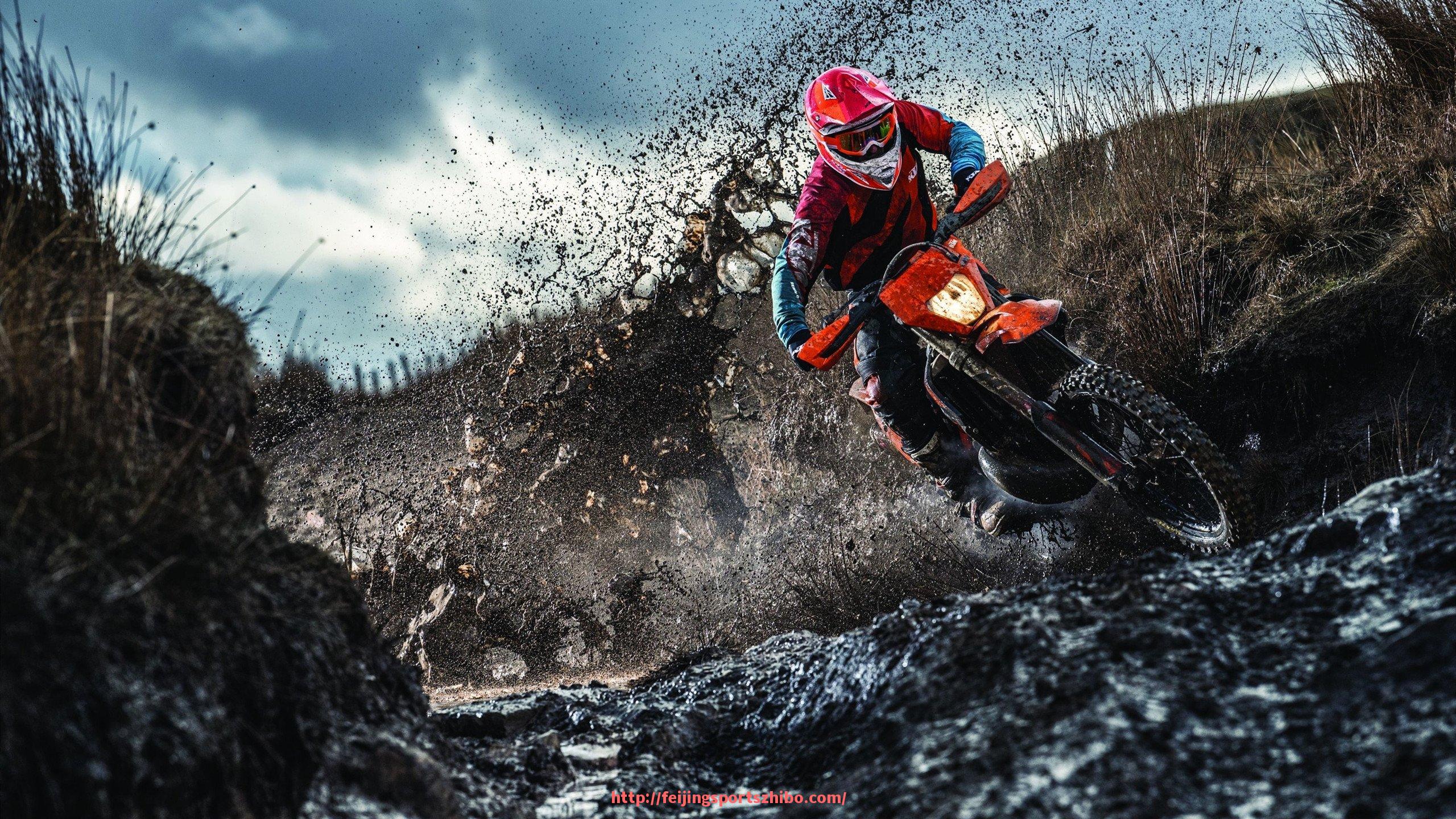 飞鲸体育直播-世俱杯赛事观众反馈汇总：球迷视角下的赛事体验全景还原