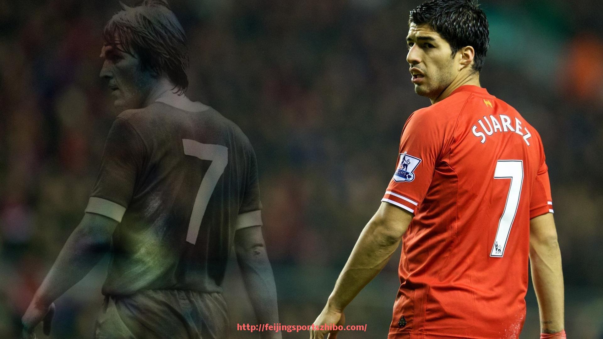 飞鲸体育直播-必艾齐健身器材品牌介绍与体育运动中的实用性能